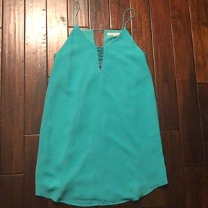 Teal Naked Zebra dress